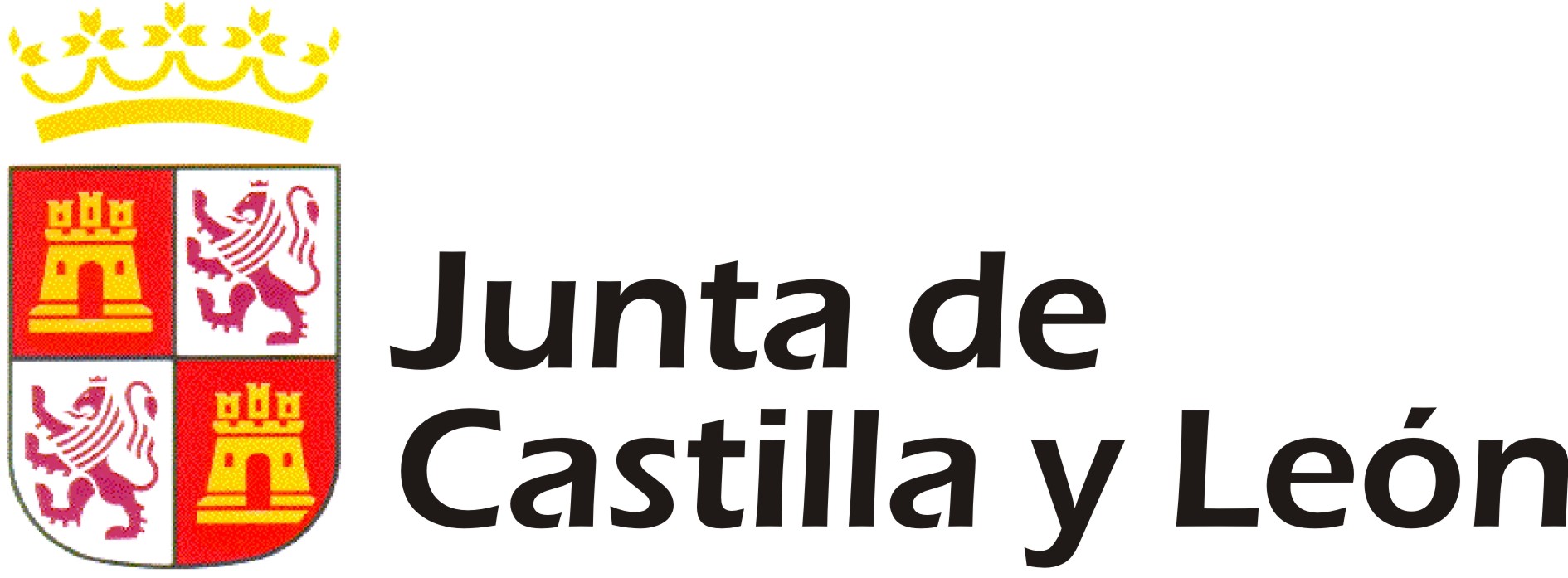 Cliente 6
